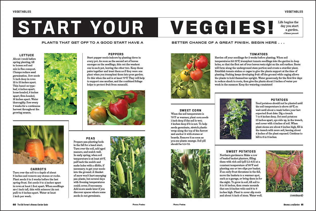 2026 Garden Guide - Print Edition - Image 3