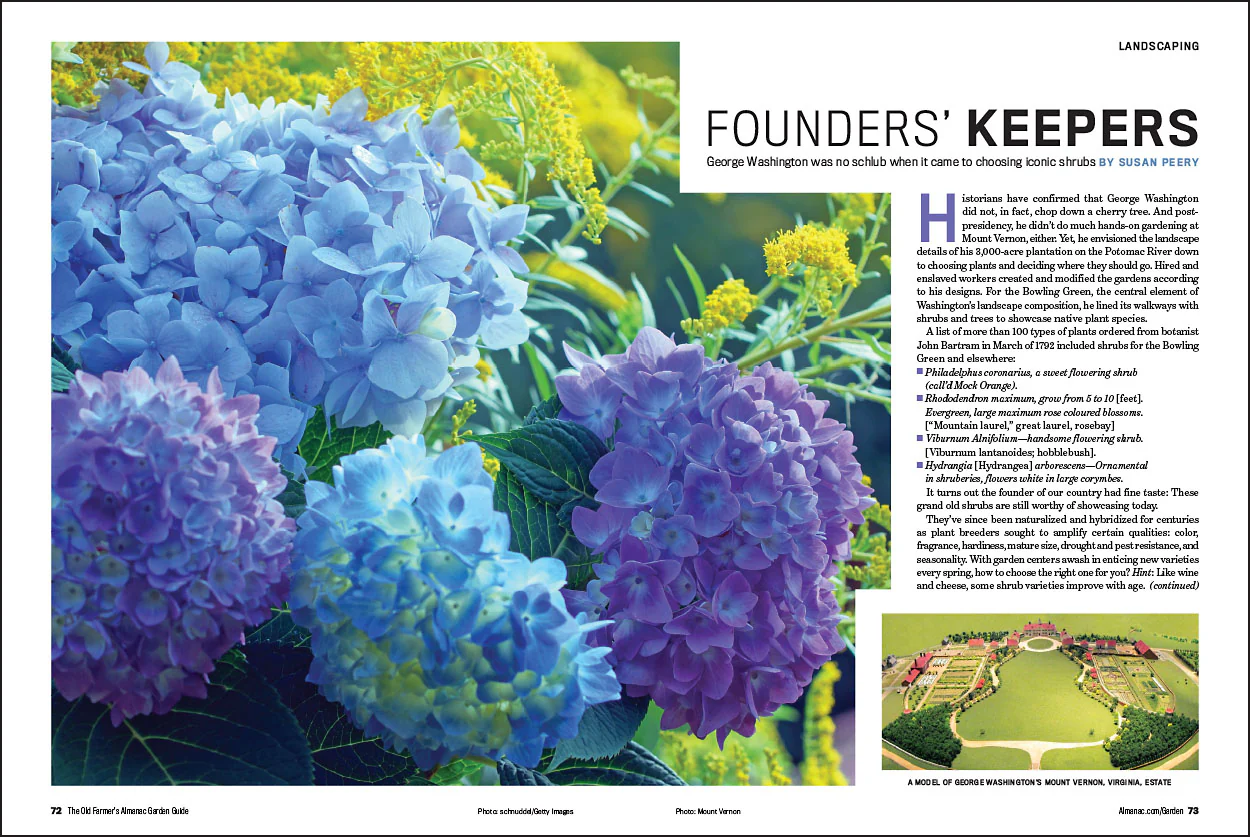 2026 Garden Guide - Print Edition - Image 5