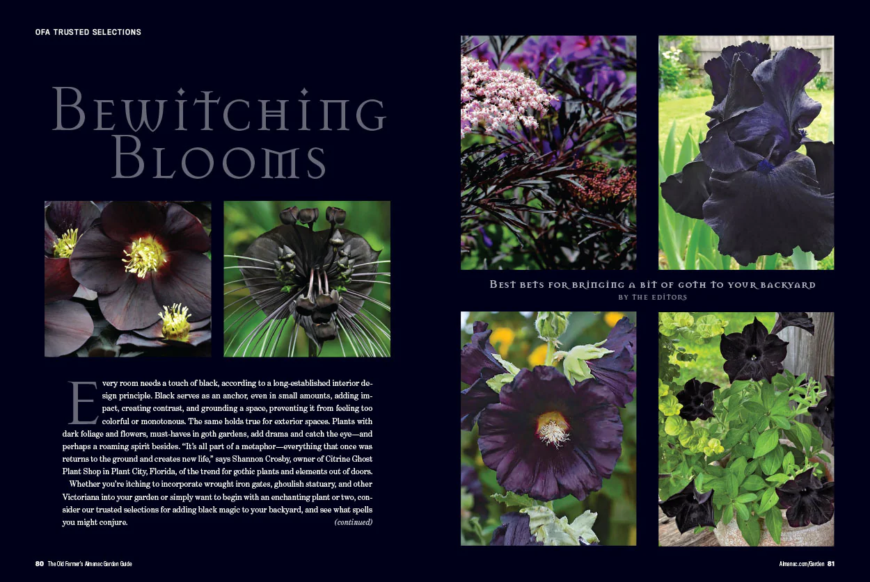2026 Garden Guide - Print Edition - Image 6
