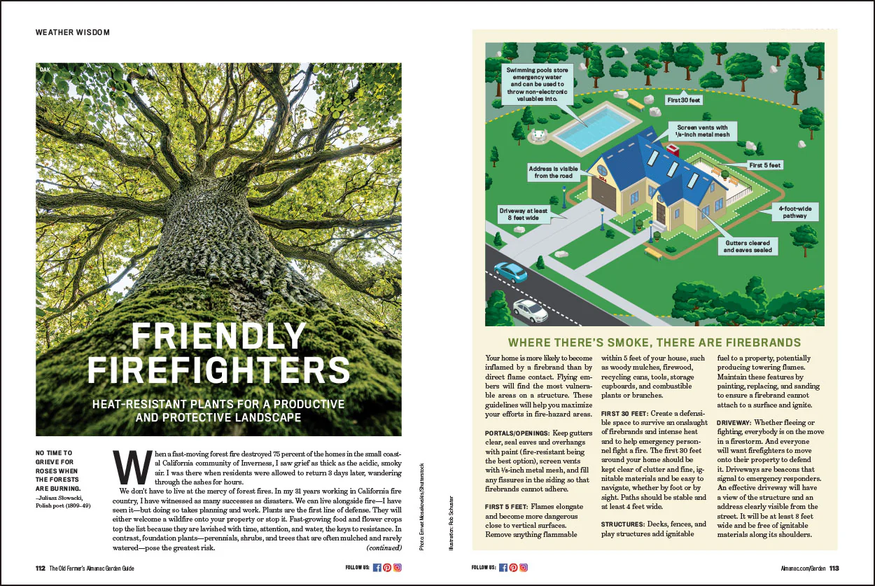2026 Garden Guide - Print Edition - Image 7