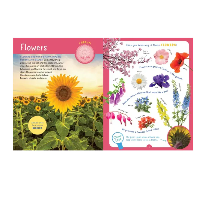 Backpack Explorer: Discovering Plants & Flowers - Image 3