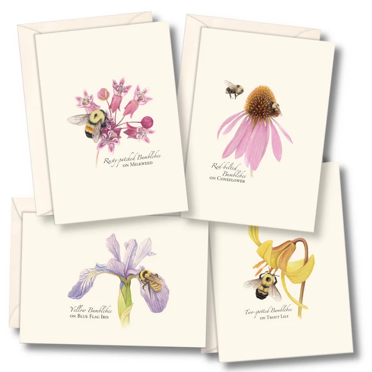 Bumblebee Notecard Assortment