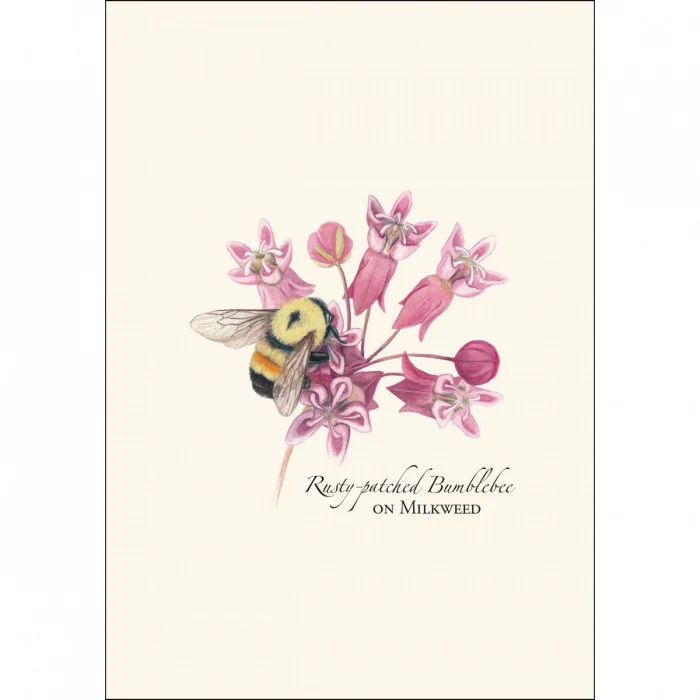 Bumblebee Notecard Assortment - Image 2