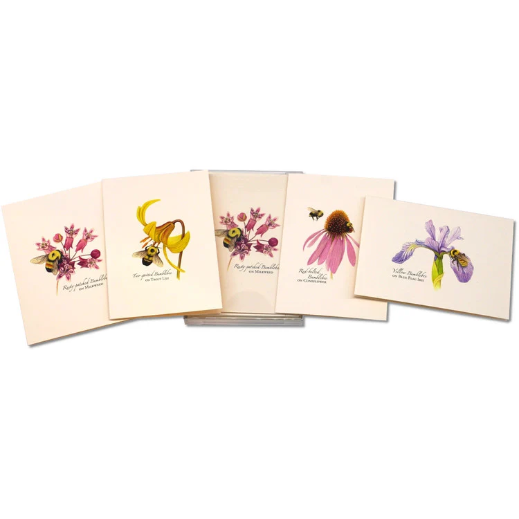 Bumblebee Notecard Assortment - Image 6