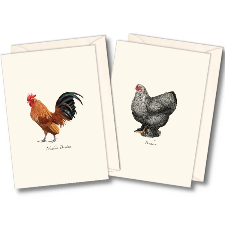 Chicken Notecard Assortment