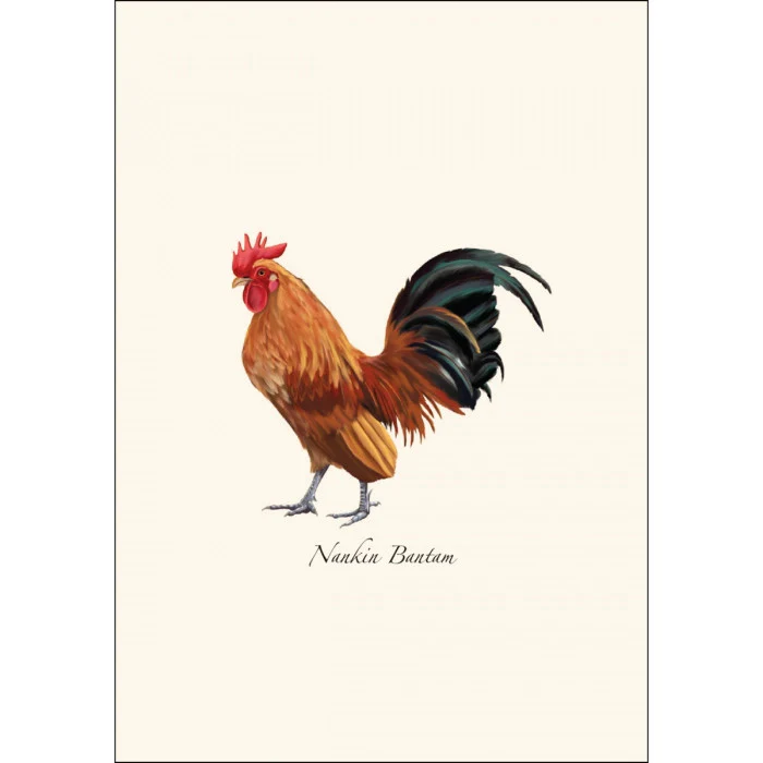 Chicken Notecard Assortment - Image 3