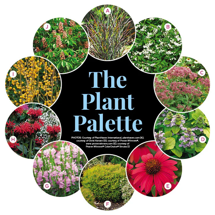 Clay Soil Garden Plan for Your Front Entry - Image 2