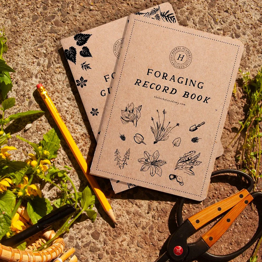 Forager's Pocket Guides - Image 4