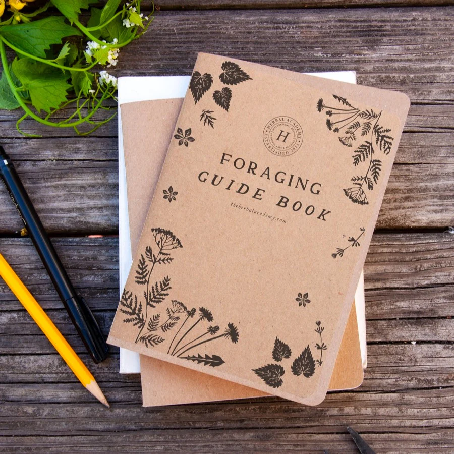 Forager's Pocket Guides - Image 5