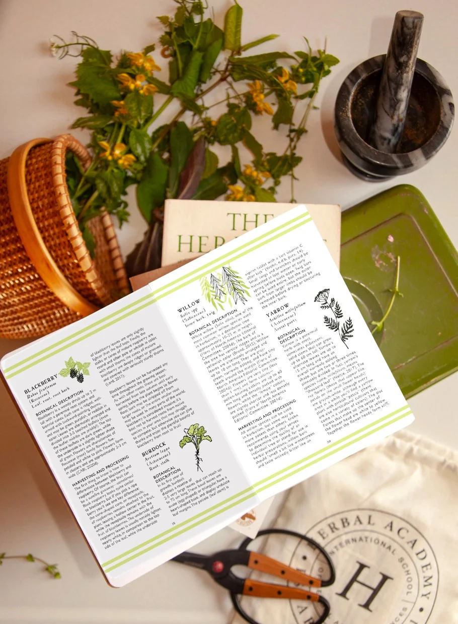 Forager's Pocket Guides - Image 6