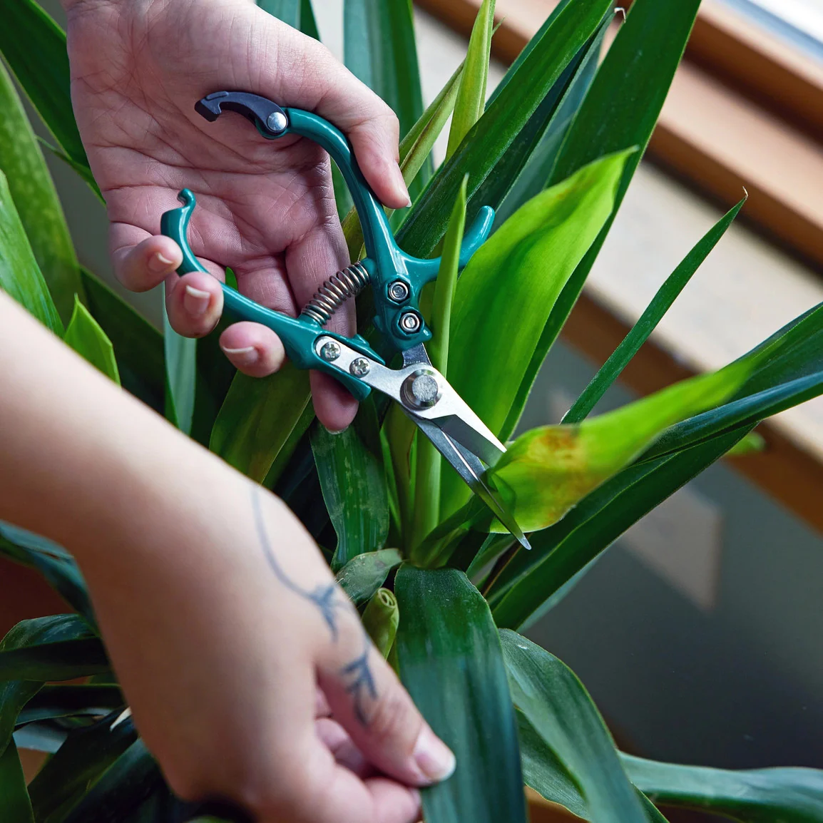 Garden Shears - Image 7