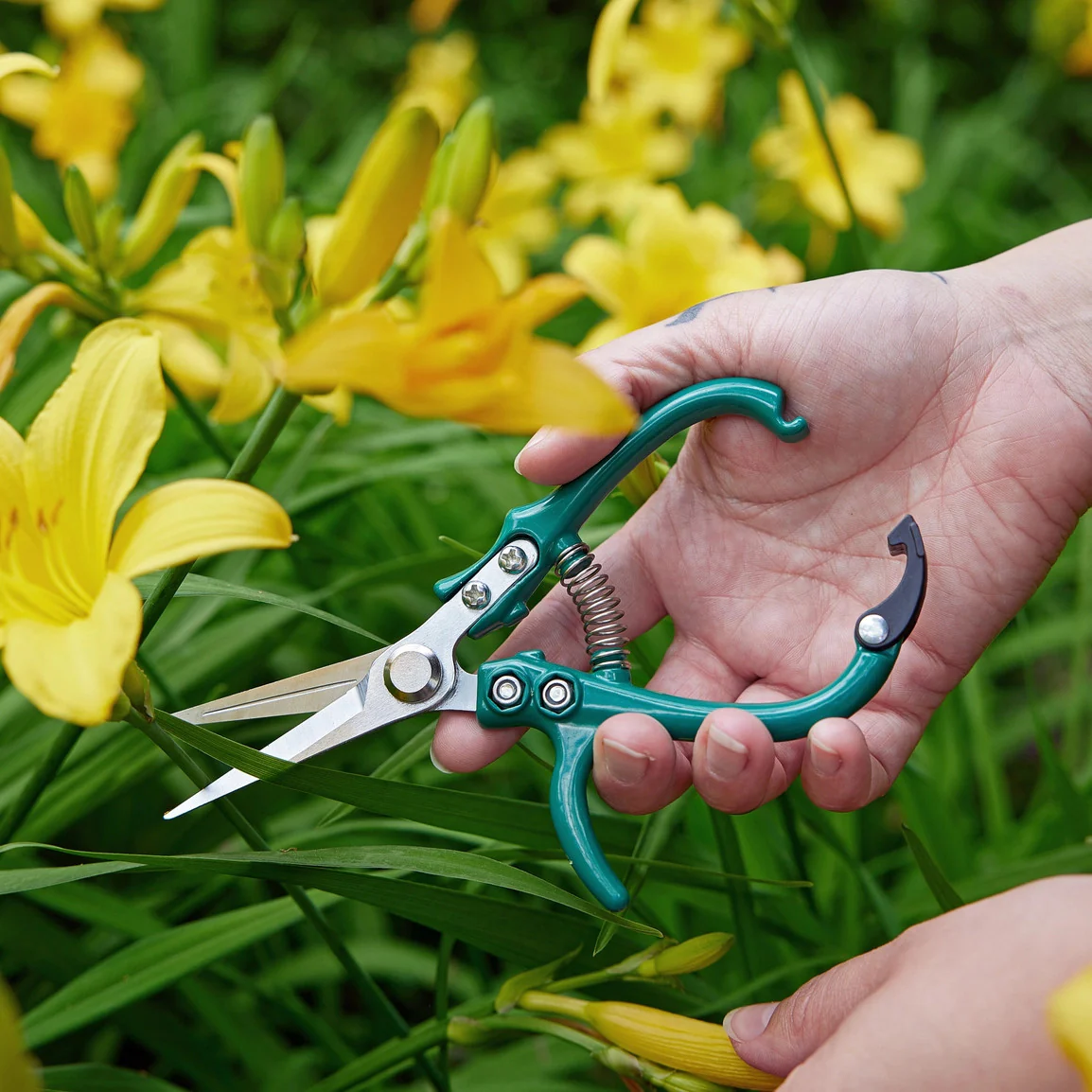 Garden Shears - Image 8