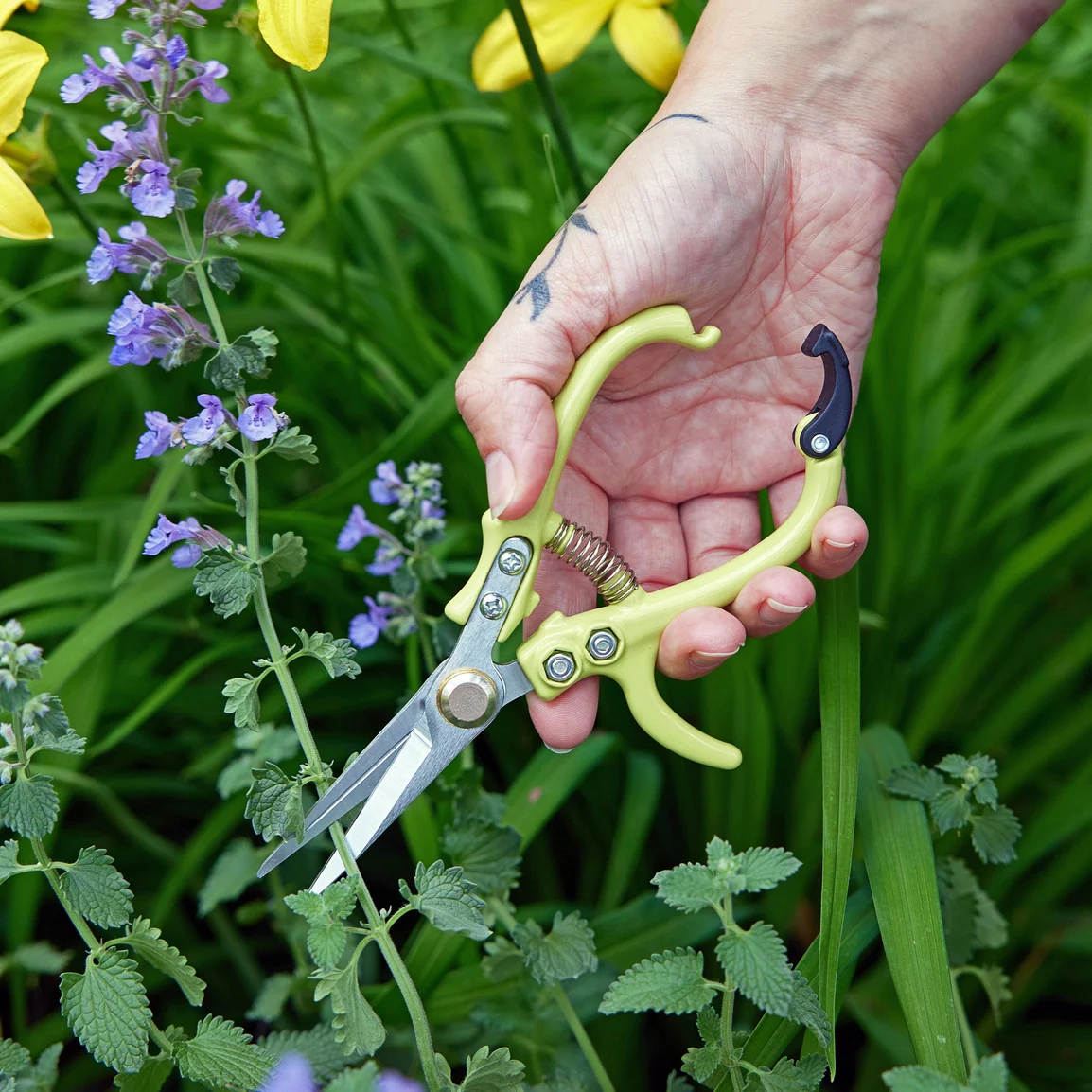 Garden Shears - Image 9