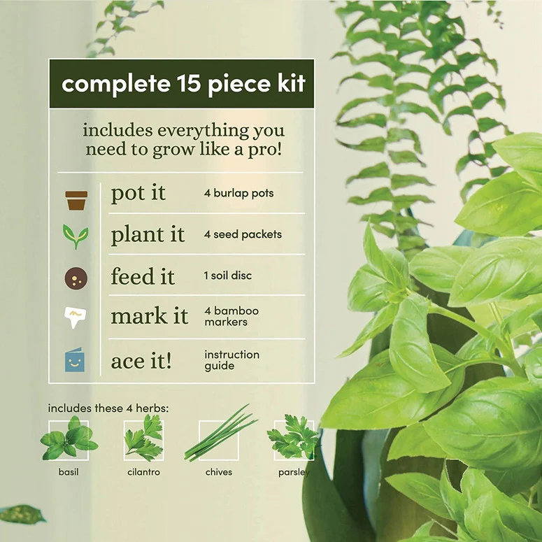 Herb Growing Kit - Image 5