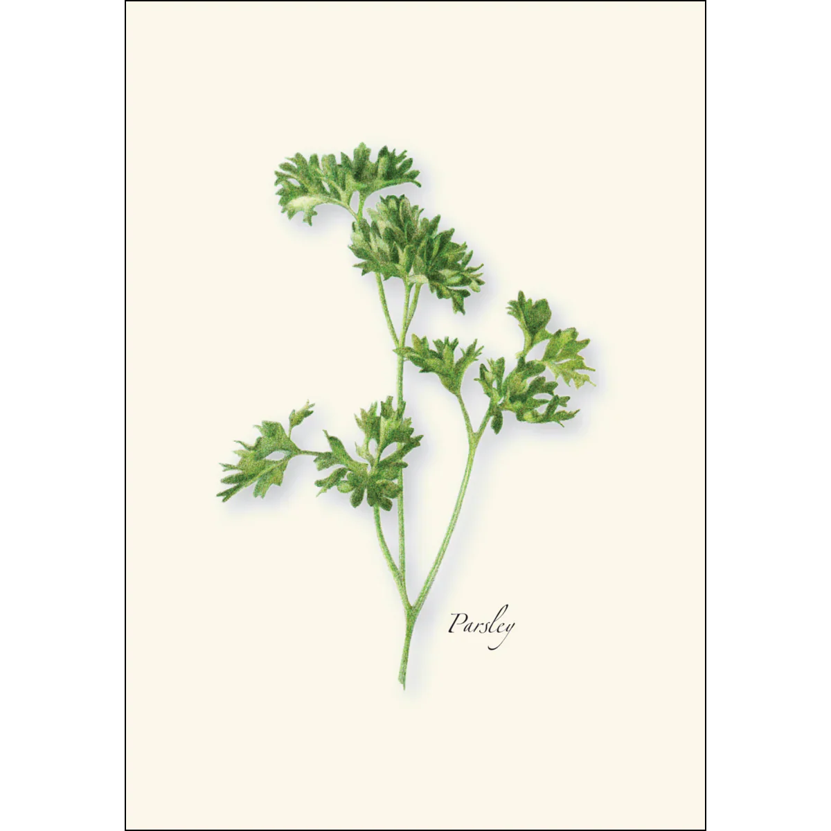 Herb Notecard Assortment - Image 2
