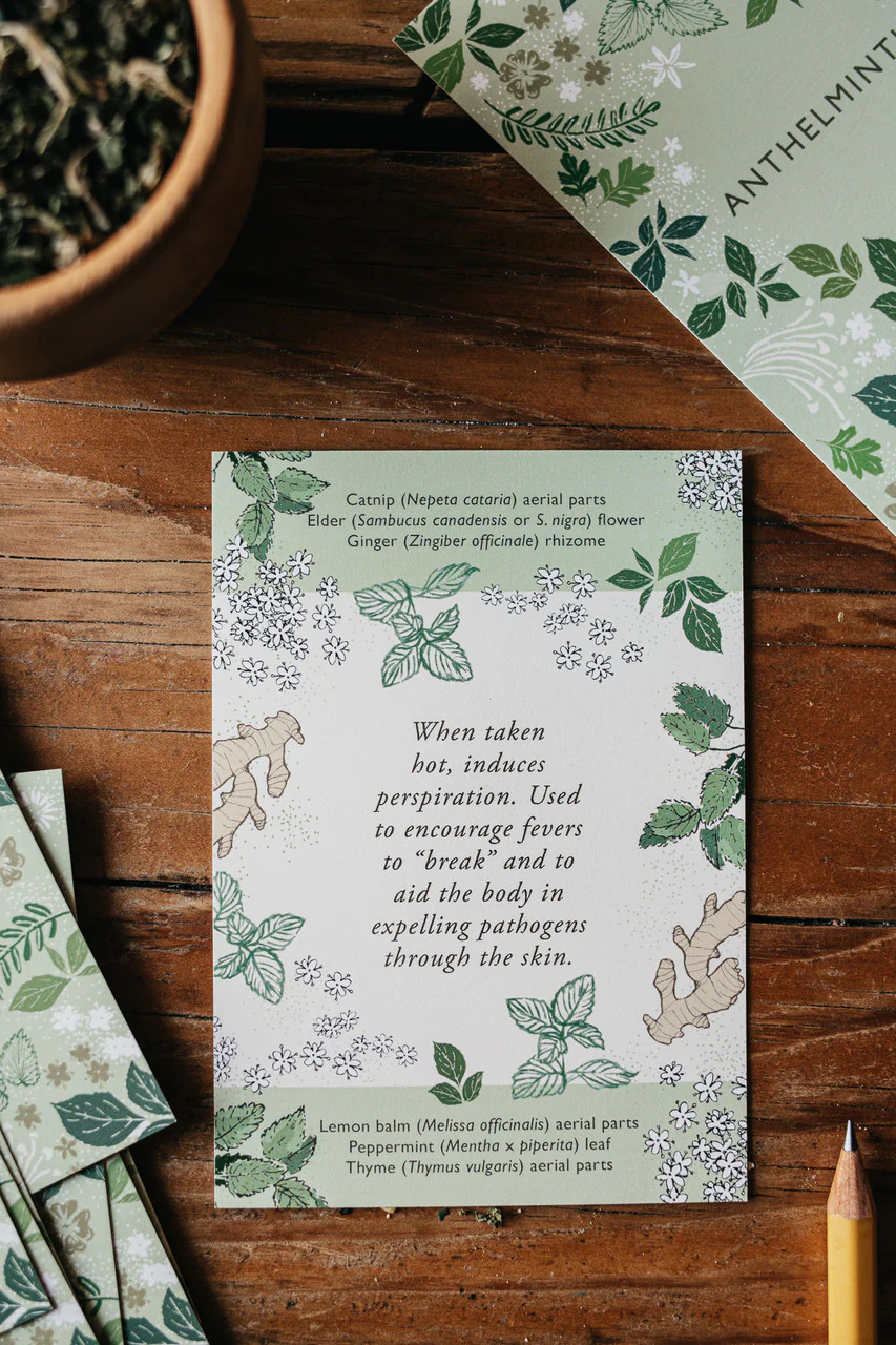 Herbal Actions Flashcards - Image 7