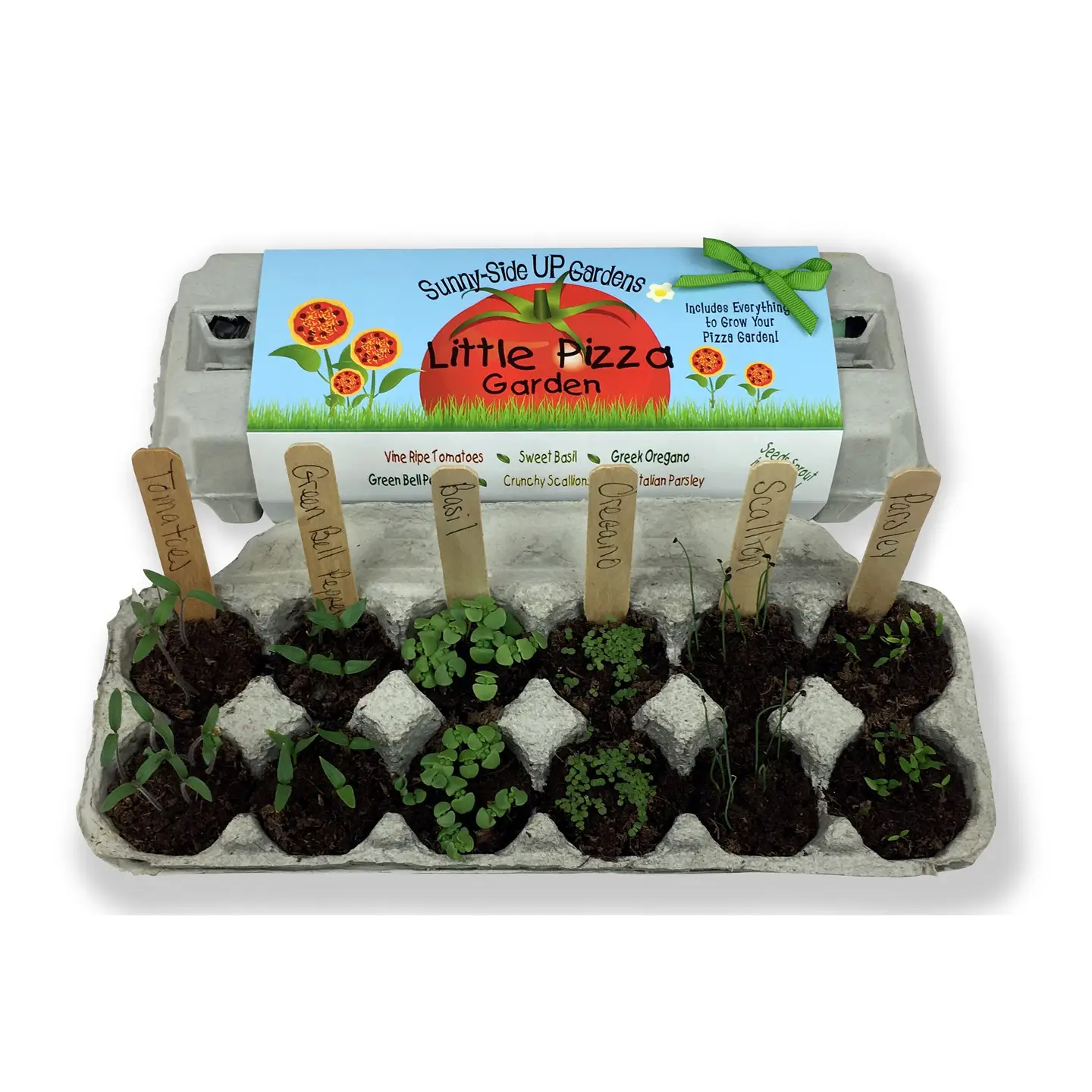Little Pizza Garden Grow Kit - Image 3