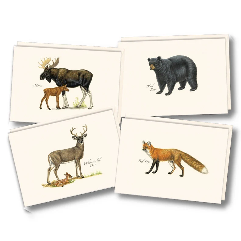 Mammal Notecard Assortment