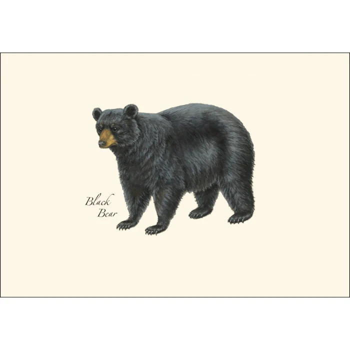Mammal Notecard Assortment - Image 3