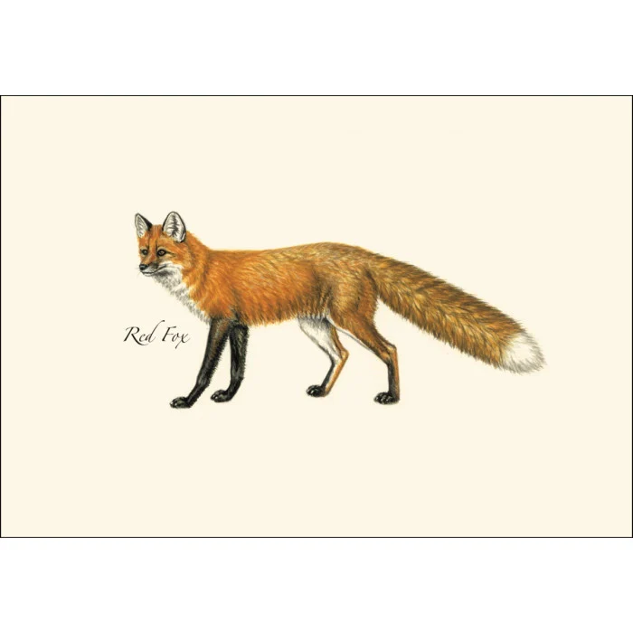 Mammal Notecard Assortment - Image 5
