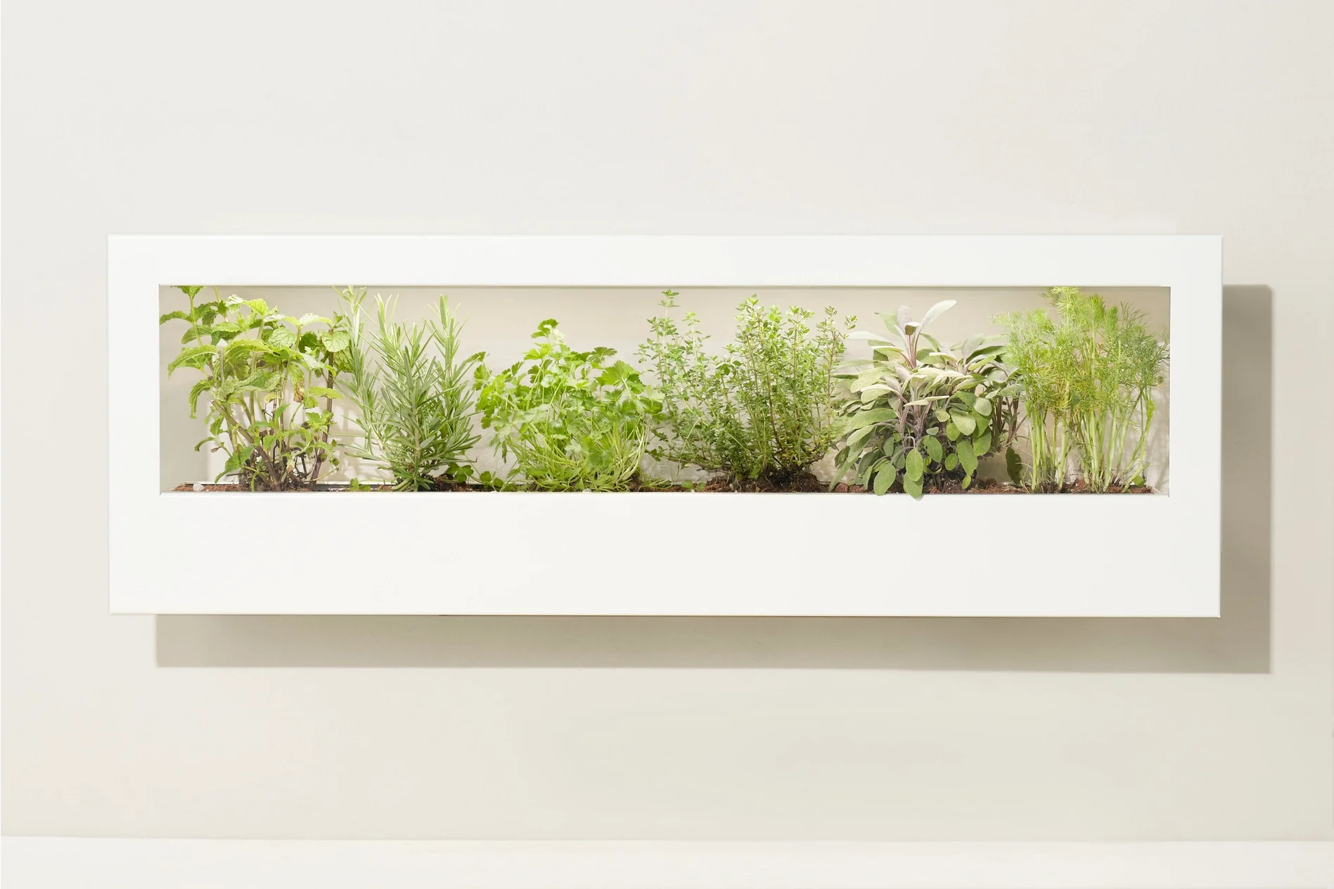 Smart Led Light Landscape Growframe - Image 2